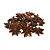 Chá De Anis Estrelado 30g (Illicium Verum) - Imagem 1