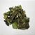 Cha Verde Nacional 30g (Camellia Sinensis) - Imagem 2