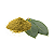 Folha De Louro Em Pó 100g (Laurus Nobilis) - Imagem 1