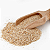 Psyllium em Pó 100g - Imagem 1