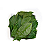 Chá De Ora Pro-Nobis em folhas 30g (Pereskia Aculeata) - Imagem 1