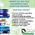Proplus 120 Capsulas 500mg Rei terra - Imagem 2