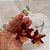 Brinco Curto Bella - Orquídea Natural Preservada em Resina - Imagem 5