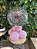 Balão Bubble - Imagem 3
