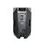 Caixa Ativa BR-10A - Imagem 4