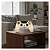 Luminária Playstation Controle Abajur Sony Ps4 Ps5 Gamer - Imagem 5
