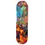Shape de maple PRODIGY Maple - Imagem 1