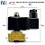 Válvula de processo solenoide 24v NF 2/2 vias rosca 1/4 BSP - Imagem 6