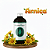 Essência 100ml - Arnica | Essência Virtual - Imagem 1