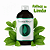 Essência 100ml - Folhas de Limão | Essência Virtual - Imagem 1