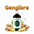 Essência 100ml - Gengibre | Essência Virtual - Imagem 1