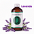 Essência 100ml - Lavanda | Essência Virtual - Imagem 1