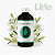 Essência 100ml - Lírio | Essência Virtual - Imagem 1