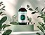 Essência 100ml - Perfume dos Sonhos | Essência Virtual - Imagem 6