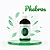 Essência 100ml - Phebros | Essência Virtual - Imagem 1