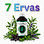 Essência 100ml - Sete Ervas | Essência Virtual - Imagem 1