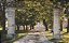 Chateau Corbin - Chateau Corbin - Rouge - 2015 - Imagem 3
