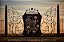 Chateau Pichon Baron - Les Griffons de Pichon Baron - Rouge - 2018 - Imagem 3