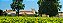 Chateau Potensac - Chateau Potensac - Rouge - 2016 - Imagem 4