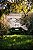 Chateau Tronquoy Lalande - Chateau Tronquoy Lalande - Rouge - 2017 - Imagem 4