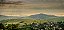 Domaine Fouassier - Sancerre Clos de Bannon - Blanc - 2021 - Imagem 3