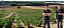 Domaine Gautherin - Chablis Premier Cru Vaillons - Blanc - 2023 - Imagem 3