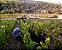 Domaine Germain Pere Et Fils - Bourgogne Hautes Cotes de Beaune - Rouge - 2022 - Imagem 3
