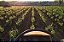 Domaine Joseph Voillot - Pommard 1er cru les Rugiens - Rouge - 2022 - Imagem 5