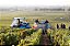 Domaine Joseph Voillot - Pommard 1er cru les Rugiens - Rouge - 2022 - Imagem 4