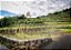 Domaine Kirrenbourg - Riesling Roche Granitique - Blanc - 2022 - Imagem 7