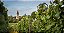 Domaine Laurent Mouton - Givry 1er Cru Clos Jus - Rouge - 2022 - Imagem 3