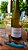 Pierre Prieur  - Domaine de Saint Pierre - Sancerre - Blanc - 2023 - Imagem 1
