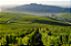 Pierre Prieur - Domaine de Saint Pierre - Sancerre Marechal Prieur - Blanc - 2022 - Imagem 6