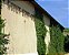 Chateau Moulin Saint Georges - Chateau Moulin Saint Georges - Rouge - 2018 - Imagem 5