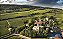 Chateau Philippe Le Hardi - Mercurey Vieilles Vignes - Rouge - 2021 - Imagem 5