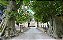 Chateau Philippe Le Hardi - Pommard - Rouge - 2022 - Imagem 6