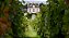 Domaine D'Ardhuy - Aloxe Corton 1Er Cru « Les Chaillots » - Aop Aloxe Corton 1Er Cru - 2020 - Imagem 6