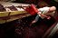 Domaine David Duband - Nuits Saint Georges - Rouge - 2020 - Imagem 6