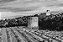 Domaine Du Grand Tinel - Chateauneuf Du Pape - Blanc - 2019 - Imagem 3