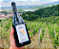 Domaine Remi Niero - Condrieu Coeur De Roncharde - Aop Condrieu - 2022 - Imagem 1