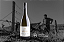 Domaine Gaillard - Pouilly Fuisse 1er Cru Les Crays - Pouilly Fuisse 1er Cru - Blanc - 2023 - Imagem 6
