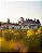 Chateau Grand Puy Lacoste - Chateau Grand Puy Lacoste Aop Pauillac - Rouge - 2021 - 0,75 - Imagem 3
