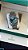ROLEX DATEJUST GREEN DIAL - Imagem 1