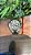 ROLEX DAYTONA WHITE GOLD RACING DIAL - Imagem 2