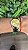 ROLEX OYSTER PERPETUAL MISTO - Imagem 1