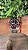 TUDOR BLACK BAY 58 CEREJA - Imagem 3