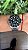 TAG HEUER AQUARACER BLACK - Imagem 2