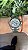 ROLEX DAYTONA PLATINA - Imagem 3