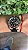 ROLEX GMT MASTER II ROOTBEER - Imagem 1
