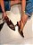 Slingback Feminino Letícia – Café Escuro com Detalhe Dourado - Imagem 3